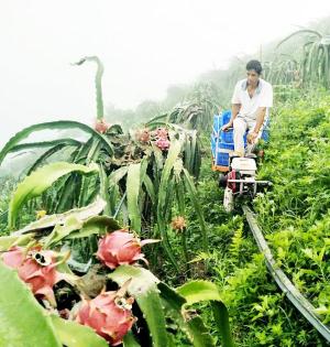 享趣罗甸不说再见系列报道之一