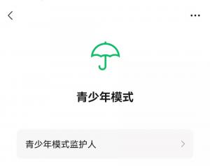 监护人可以决定给青少年看什么看多长时间
